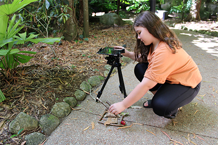 Stop Motion Animation